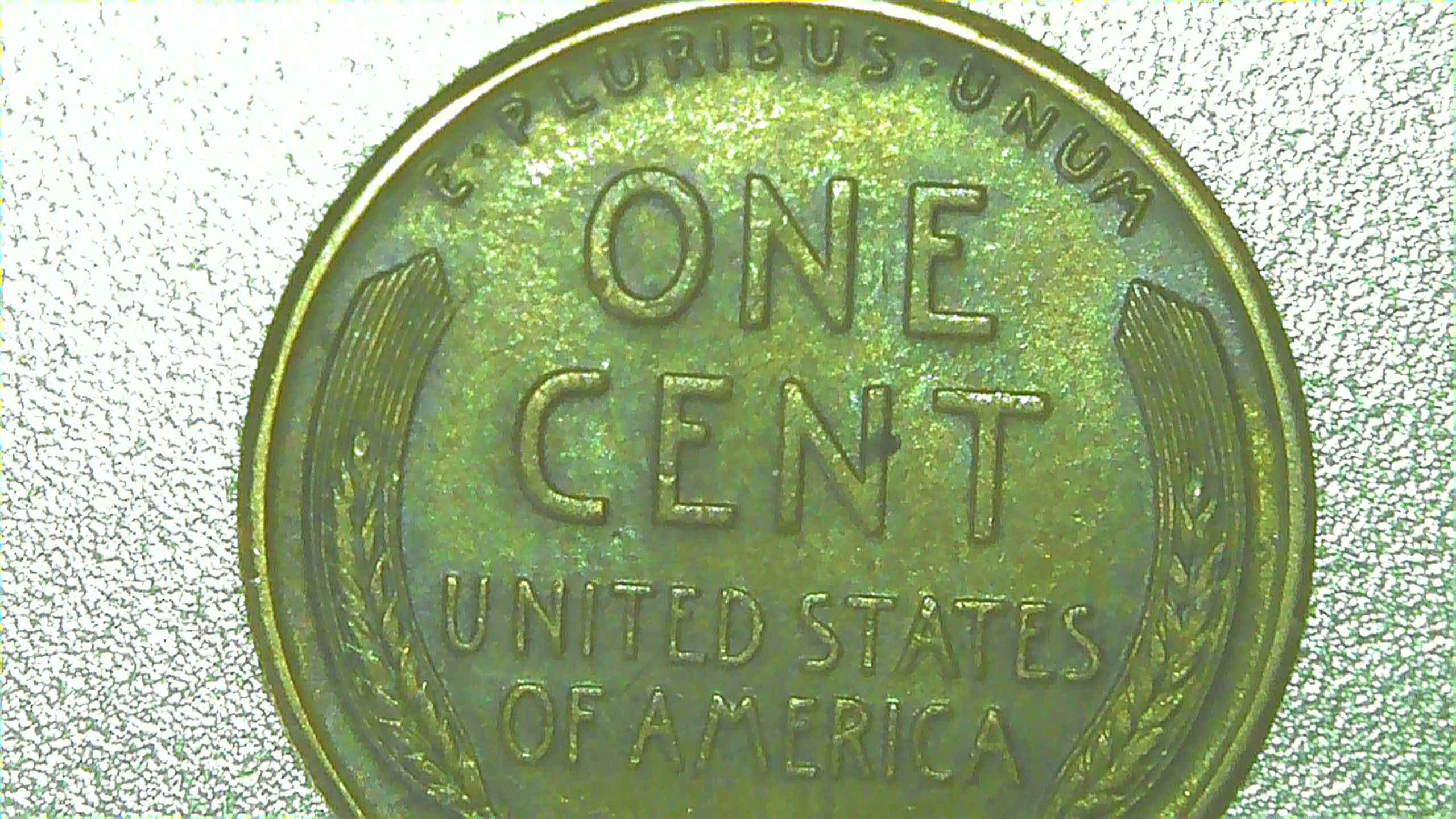 1919-S--1929-S-Appreciate-Your-Grading-Thoughts.